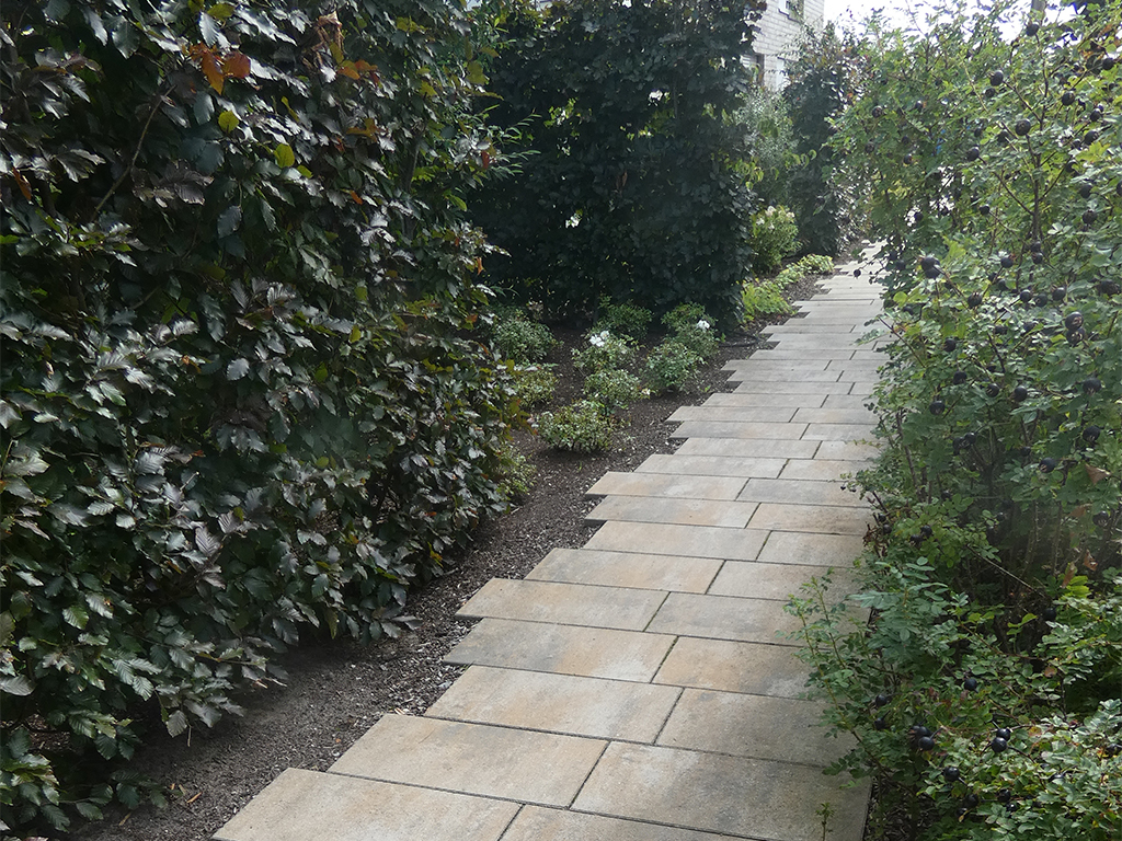 pflanzarbeiten-_0000s_0000_8