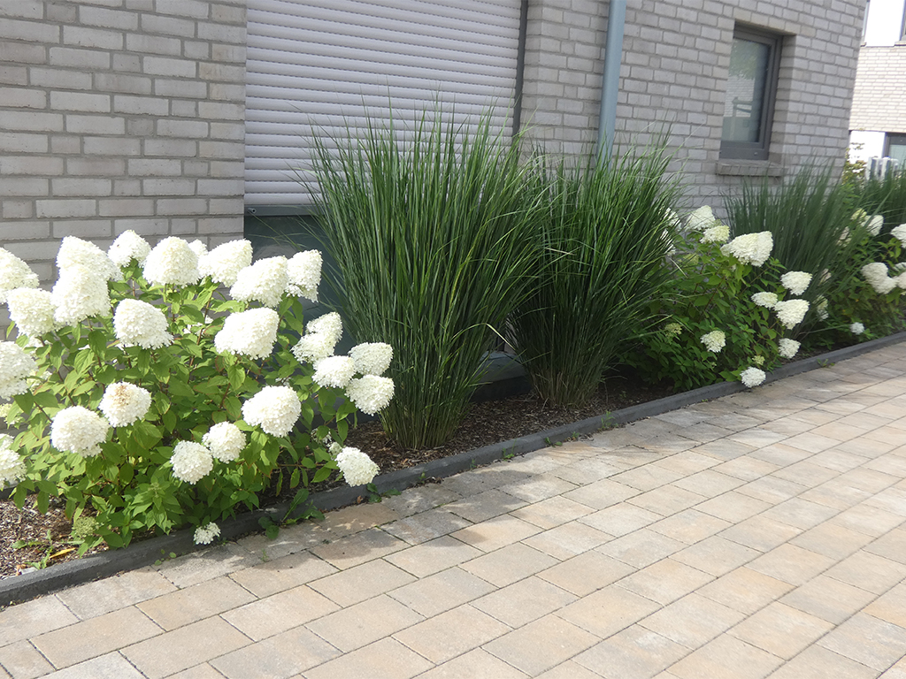 pflanzarbeiten-_0000s_0002_6