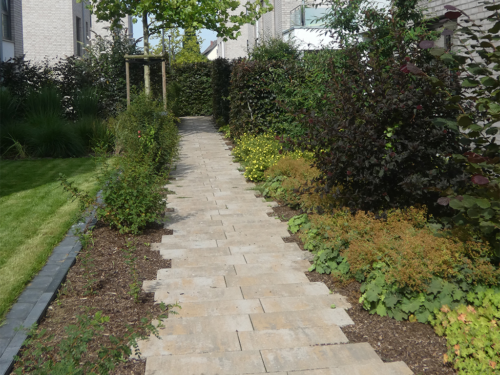 pflanzarbeiten-_0000s_0004_4